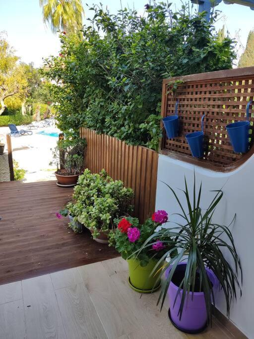 Rachel Suite By The Pool Πάφος Εξωτερικό φωτογραφία