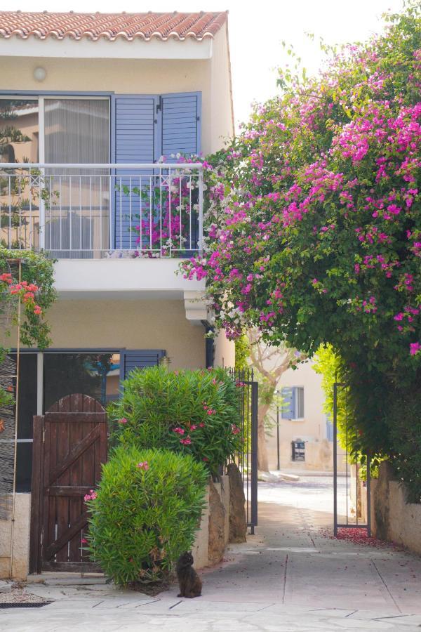 Rachel Suite By The Pool Πάφος Εξωτερικό φωτογραφία